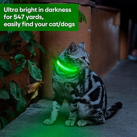 LED Dog Collar – Rechargeable Safety Light