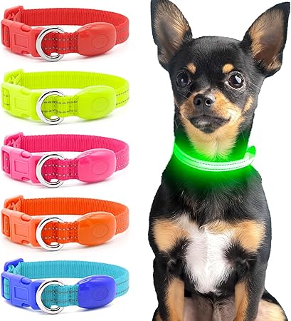 LED Dog Collar – Rechargeable Safety Light